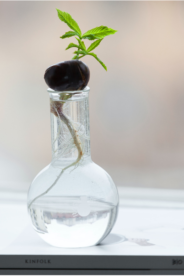 Emerald Connection adulthood post feature image by Daniel Oberg on Unsplash